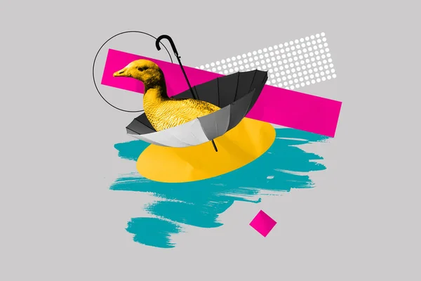 Collage Compuesto Imagen Divertido Pato Natación Paraguas Agua Estanque Animal —  Fotos de Stock