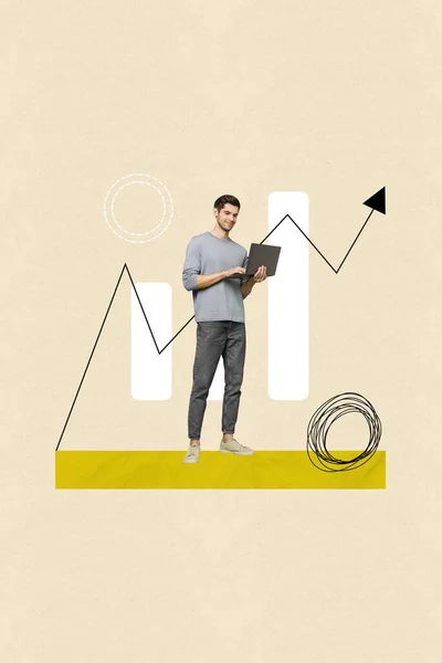 Vertical illustration collage banner poster standing young satisfied man laptop success strategy profit earning money.