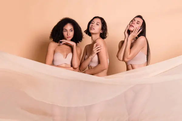 Stüdyo Fotoğrafında Güzel Parlak Kadınlar Çamaşırlarıyla Filtre Olmadan Kumaşı Örterek — Stok fotoğraf