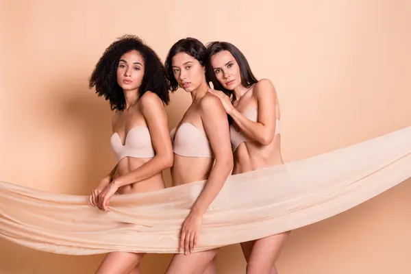 Stüdyoda Çekici Kadınların Çamaşırlı Filtresiz Kumaş Örtülü Izole Edilmiş Pastel — Stok fotoğraf