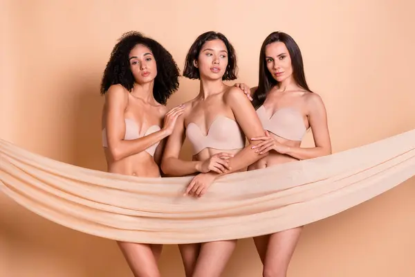 Stüdyo Fotoğrafında Çamaşırı Giymiş Tatlı Kadınlar Kumaş Kaplama Filtresiz Vücut — Stok fotoğraf