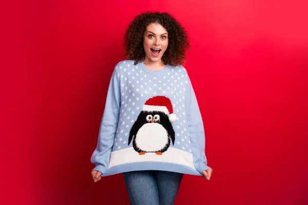 Photo of funky girl wear blue pullover with polar penguin in xmas hat she stretching oversize sweater isolated on red color background.