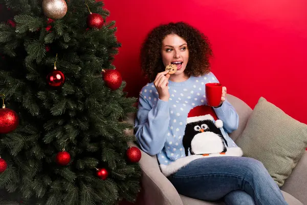Photo of sweet excited lady wear ugly new year pullover sitting armchair biting biscuit enjoying coffee isolated red color background.