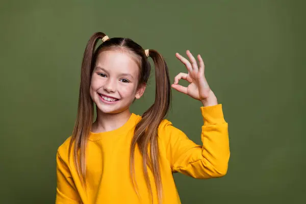 Photo Intelligent Optimistic Schoolgirl Ponytails Wear Yellow Pullover Showing Okey — Stock Photo, Image