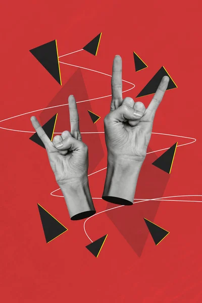 Vertikale Collage Kreative Plakat Monochromen Effekt Zwei Hand Zeigen Geste — Stockfoto