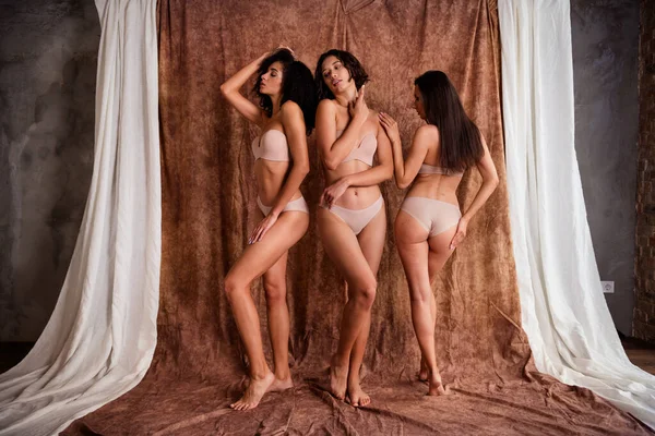 Hay Foto Estudio Retoque Mujeres Tiernas Hermosas Posando Ropa Interior — Foto de Stock