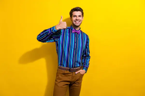 Portrait Satisfied Nice Guy Dressed Stylish Shirt Bow Tie Show — Stock Photo, Image
