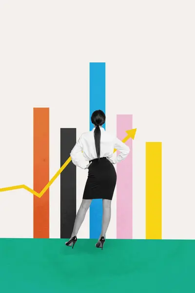 Imagem Arte Colagem Senhora Profissional Sucesso Olhando Analisando Estatísticas Isoladas — Fotografia de Stock