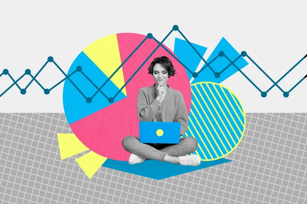 Collage 3d pinup pop retro sketch image of smart clever lady working device creating startup presentation isolated painting background.