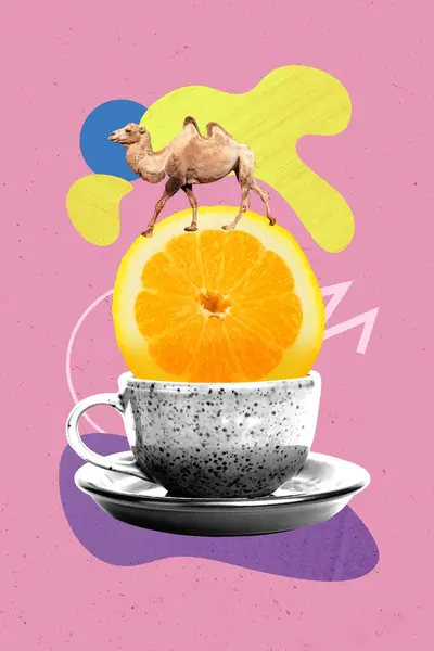 Vertical creative collage image of tea citrus cup orange slice camel egypt weird freak bizarre unusual fantasy.