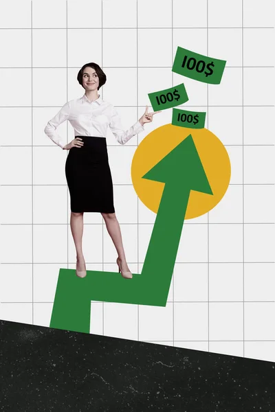 Verticale Collage Creatieve Poster Gelukkig Succesvolle Vrolijke Jonge Dame Tonen — Stockfoto