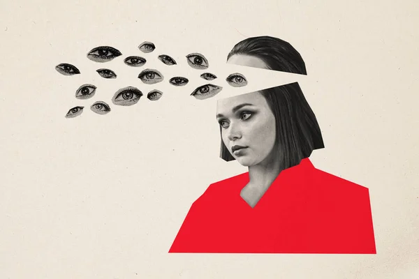 Kreatywny Kolaż Fotografia Młody Zdenerwowany Kobieta Twarz Fragmenty Oczy Podzielone — Zdjęcie stockowe