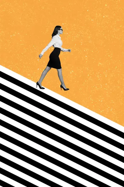 Vertical collage poster illustration black white effect serious bossy charm young woman walk miniature zebra striped orange background.