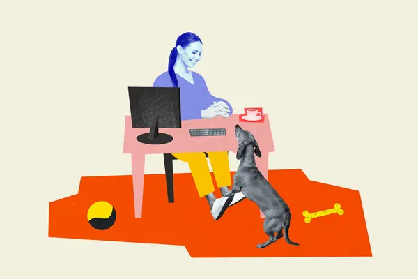 Photo collage picture young girl sit home remote freelancer worker computer desk indoors comfort workspace playful dog white background.