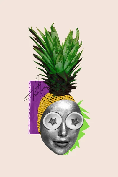 Collage Bild Pinup Pop Retro Skiss Ananas Ananas Flicka Ansikte — Stockfoto