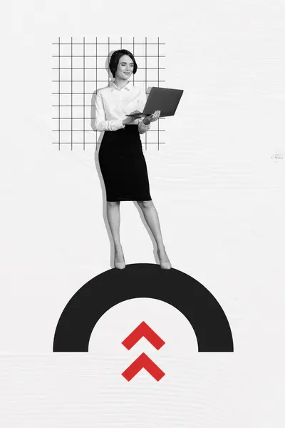 Vertical Creative Collage Poster Young Attractive Businesswoman Hold Laptop Satisfied — Stock Photo, Image