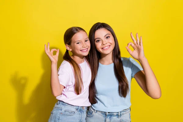 Φωτογραφία Από Αξιολάτρευτο Θετικά Μικρές Αδελφές Φορούν Shirts Χαμογελώντας Δείχνει — Φωτογραφία Αρχείου