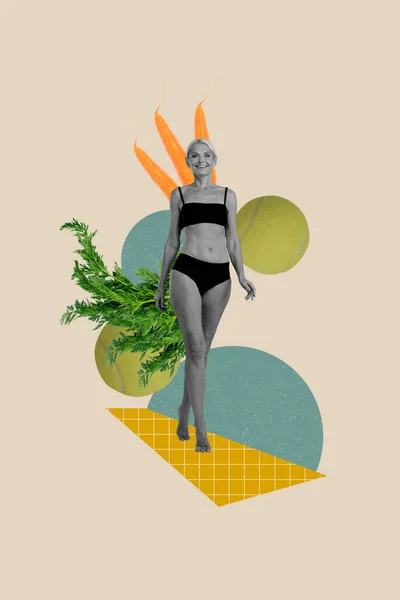 Creatief Abstract Template Collage Van Slanke Aantrekkelijke Oude Vrouwelijke Slanke — Stockfoto