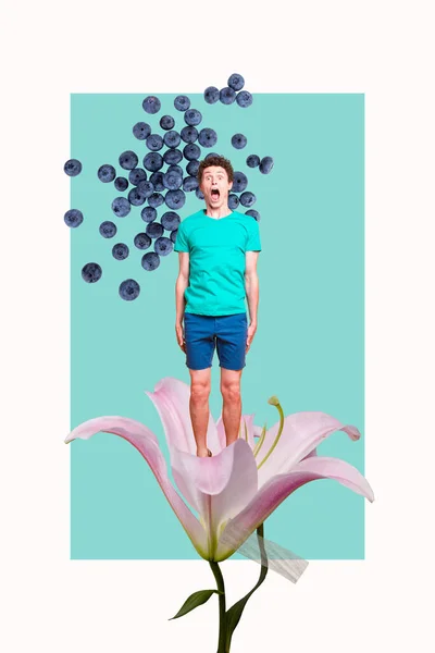 Creative weird collage of afraid amazed guy screaming standing on blossom lily flower see many blue berries.
