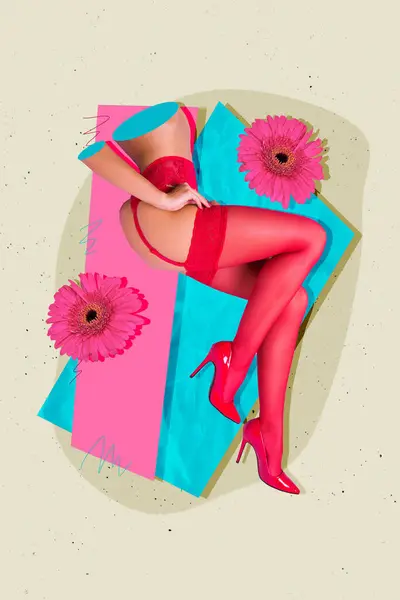Kreative Zeichnung Collage Bild Der Liegenden Weiblichen Roten Dessous Blume — Stockfoto