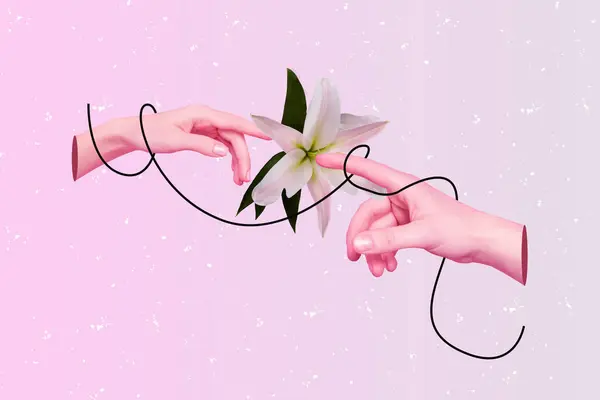 Коллаж Фотографий Современный Дизайн Присоединения Пары Пальцев Красивому Цветку Лилии — стоковое фото