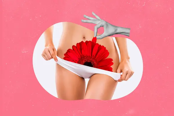 Colaj Creativ Decolare Chiloți Gerbera Floare Erotică Fată Seducătoare Promo — Fotografie, imagine de stoc