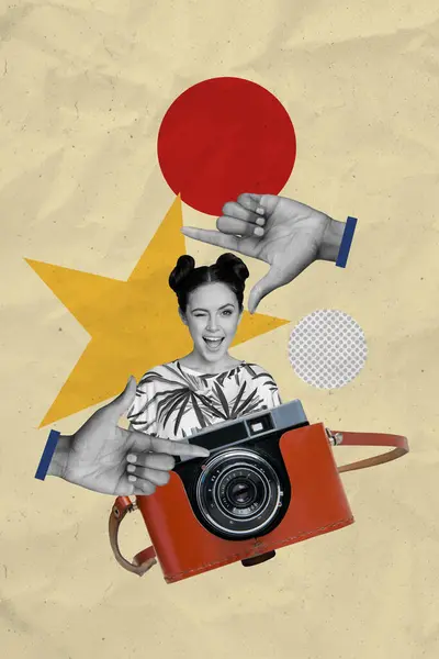 Collage retro sketch image of excited flirty lady winking tacking photos vintage camera isolated beige color background.