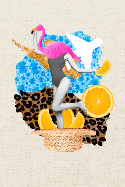Surreal Illustration Collage Flamingo Instead Head Woman Bikini Standing Sun — Stock Photo, Image