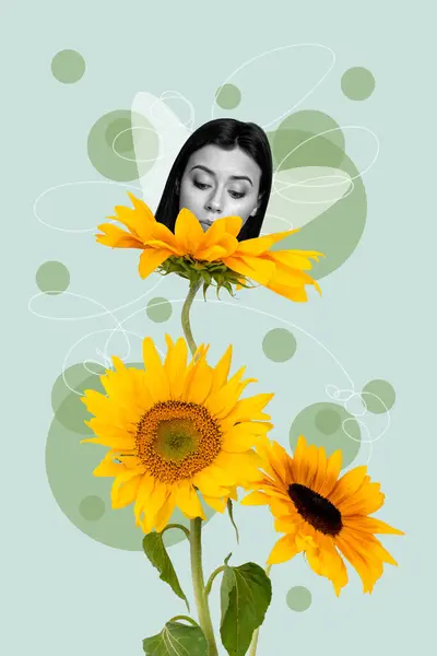 3D photo collage trend artwork sketch abstract image of black white bodyless ladys head with wings sit on huge sunflower spring season.