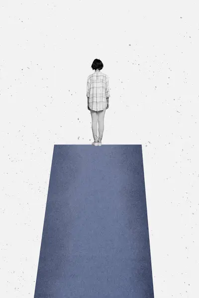 Gambar Kolase Vertikal Berdiri Kesepian Gadis Muda Mundur Mencapai Puncak — Stok Foto