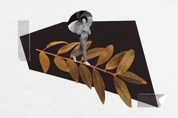 Δημιουργικό Κολάζ Εικόνα Περπάτημα Γυναίκα Ομπρέλα Κάλυψη Υπαίθρια Εποχή Φυτό — Φωτογραφία Αρχείου