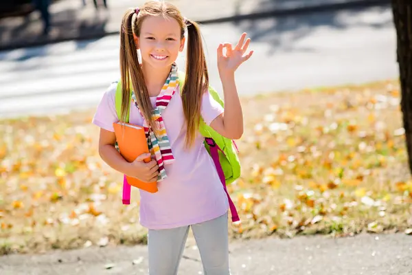 Photo Portrait Ponytails Cute Small Girl Hold Book Show Okey — Stock Photo, Image