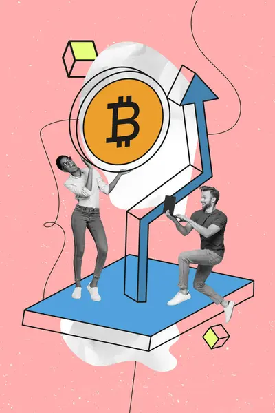 Verticale Creatieve Collage Beeld Van Bitcoin Trading Financier Econoom Zakenlui — Stockfoto