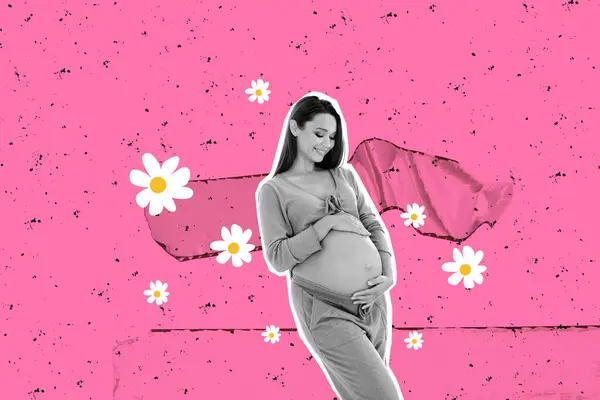 幸せな妊娠中の少女の複合写真コラージュ スタンドタッチベリー花 カモミールのお祝い 母の日 塗装された背景で隔離 — ストック写真