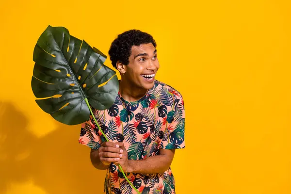 Foto Van Jonge Grappige Man Met Bananenboom Palm Groen Blad — Stockfoto