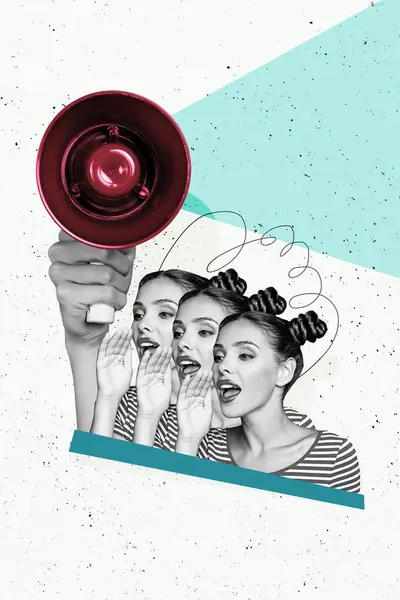 Vertical photo collage of stylish lady speak mouth open hand hold megaphone speaker propaganda protest isolated on painted background.