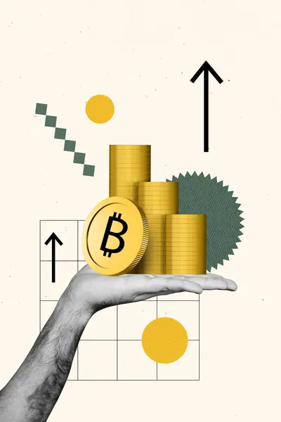 Pionowe Zdjęcie Kolaż Strony Trzymać Stos Bitcoin Złoto Crypto Monety — Zdjęcie stockowe