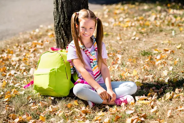 ポニーテールの写真の肖像画かわいい小さな女の子のリュックサックは木の下に座って買い物の販売はスタイリッシュな衣服小学生公園を着飾りました — ストック写真