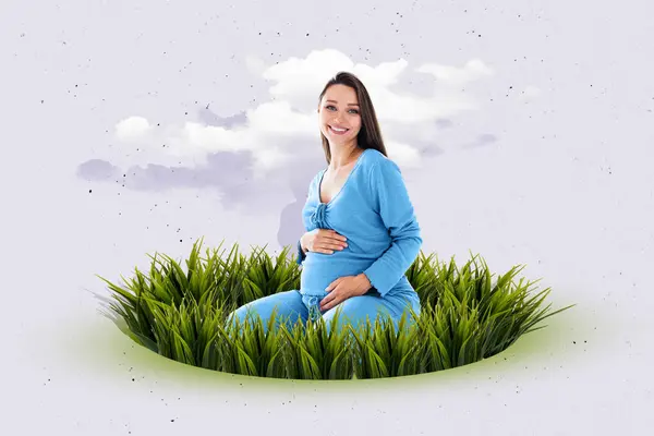 Творческие Работы Шаблон Коллаж Милая Беременная Женщина Сидеть Трава День — стоковое фото