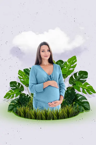 Kompozitní Koláž Obrázek Dívky Dotek Bříško Zdravé Těhotenství Tráva Matka — Stock fotografie