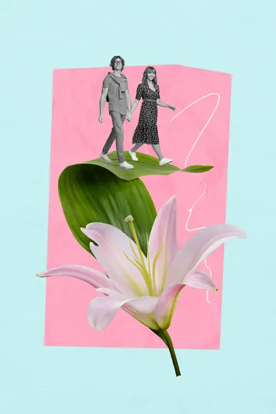 Modèle Graphique Collage Image Couple Souriant Heureux Marchant Ensemble Grande — Photo
