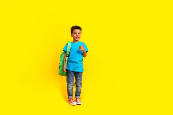 Pełne Zdjęcie Uroczego Małego Dziecka Ubranego Niebieskie Dżinsy Shirt Torba — Zdjęcie stockowe