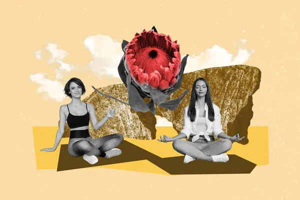 Composite Collage Image Two Friends Girls Yoga Meditate Together Nature — Stock Photo, Image