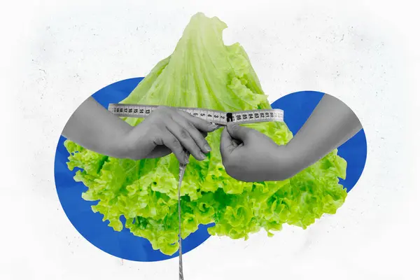 手持式尺子大鲜绿色生菜叶冰有机食品的复合照相拼贴 — 图库照片