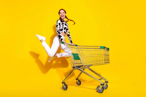 Full Length Photo Excited Cheerful Woman Wear Cow Skin Print Stock Image