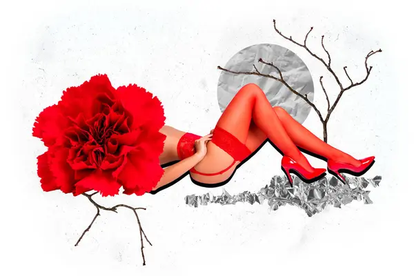 Colaj Foto Compus Fată Seducătoare Erotică Poartă Tocuri Sexy Lenjerie — Fotografie, imagine de stoc