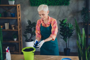 Photo of pretty cheerful retired lady wear apron planting seeding herbs indoors house workshop. clipart