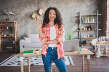 Photo of shiny cute girl dressed white plaid shirt smiling showing okey sign indoors house apartment room. clipart