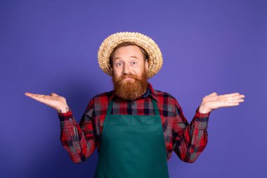 Photo of funny man farmer wear checkered shirt halloween season shrug shouldres isolated on purple color background. clipart