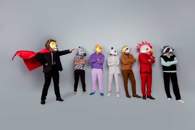 Full body portrait of lion king coordinate zebra gorilla raccoon panda sloth rooster mask people isolated on grey color background. clipart